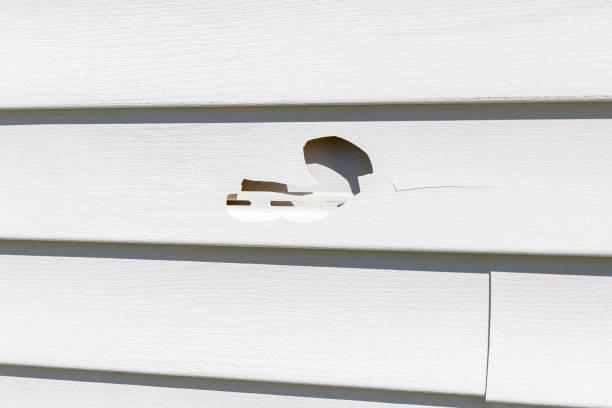 Best Siding for New Construction  in , ID