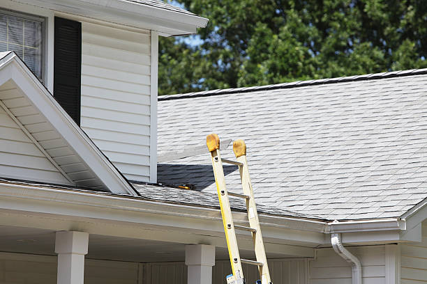 Best Fascia and Soffit Installation  in , ID